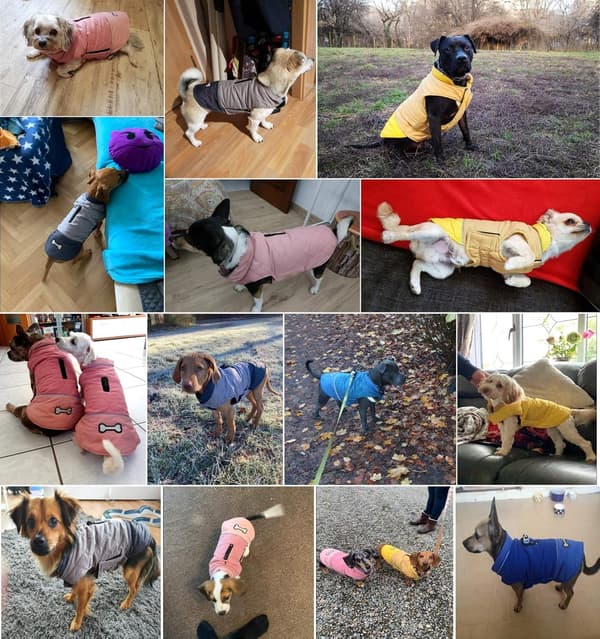 Varm Vinter Vindtät Hundjacka, Snösäkra Hundkläder För Liten A