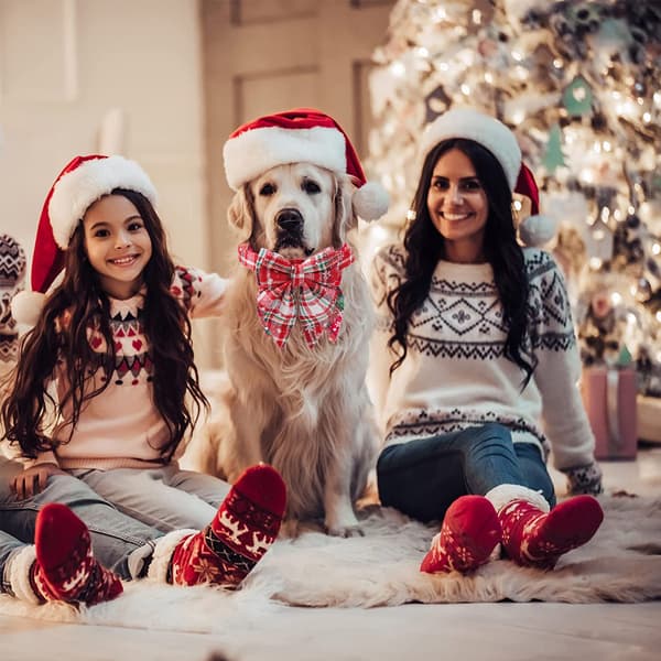 Hundhalsband för jul med rosett, fluga hundhalsband för jul, julklappar S