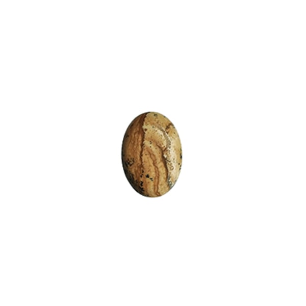 Cabochon, naturlig landskapsjaspis, 12x16mm oval, 1st brun