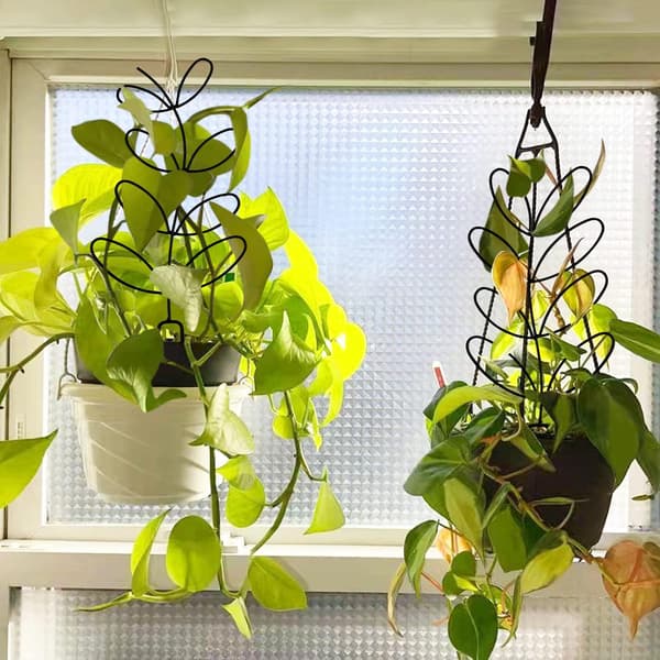 4 stk Bladformet Innendørs Plante Støtte for Klatreplanter, Små