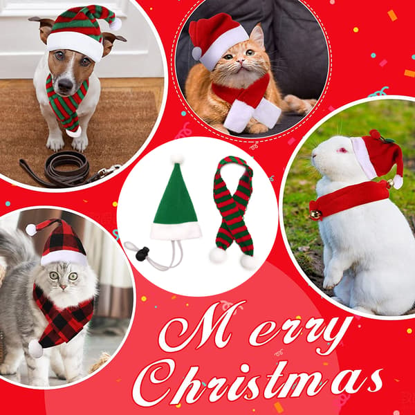 Julklapp Kläder Outfit för Hamster Chinchilla Iller Ödla style1