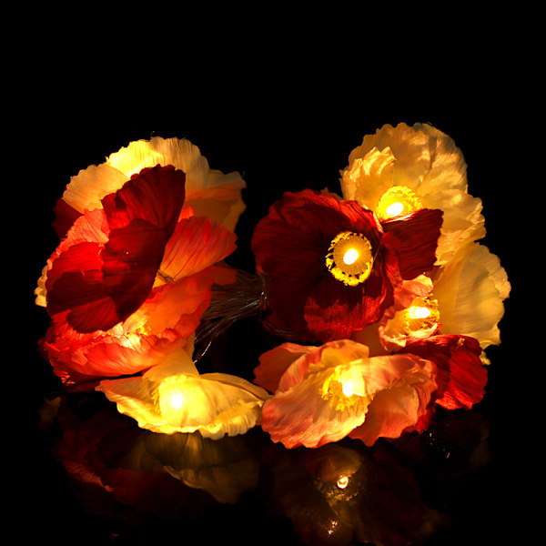 Rosa sidenblommor ljusslinga 20LED batteridriven för bröllopsfestdekoration (2m)
