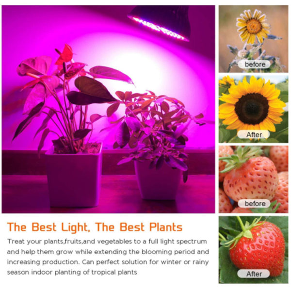 Full Spectrum LED-växtlampa för inomhusbruk