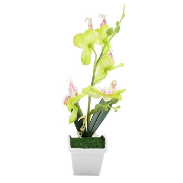 Konstgjord blomma Simulering Fjärilsorkidé Dekorativa växter