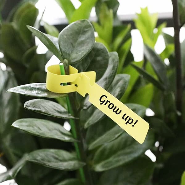 100-pakning plastetiketter for planter, trær, 2 x 21 cm – Gul