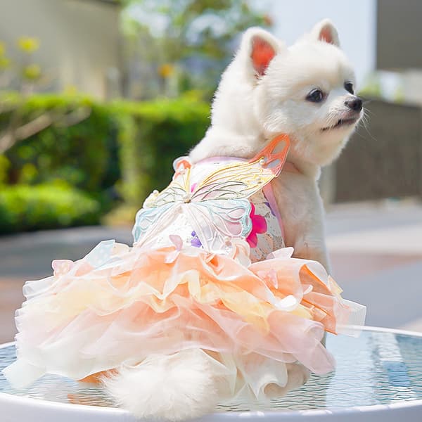 Lette sommerprinsessekjoler og tylskørter til hunde og katte L
