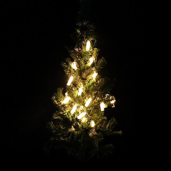 20 LED batteridriven fotoklämma form fe-strängljus hängande bild
