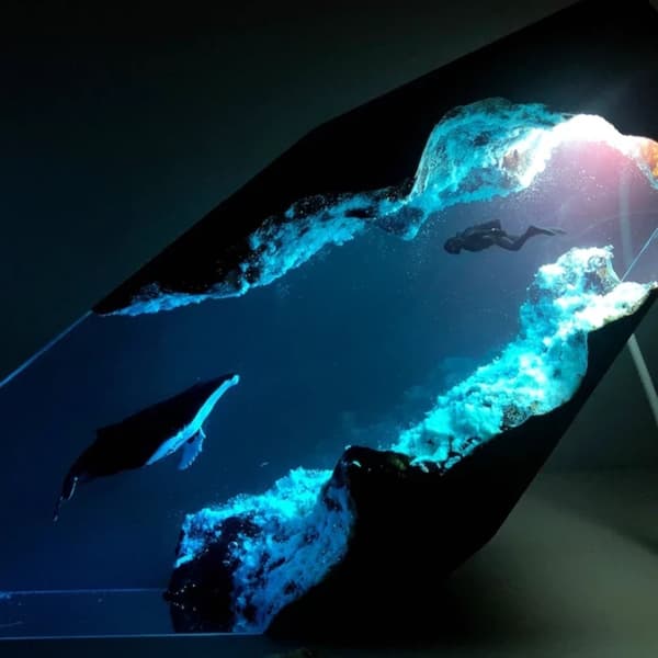 Epoxy Resin Træ Lys Lampe Stor Dykker og Pukkelhval Led