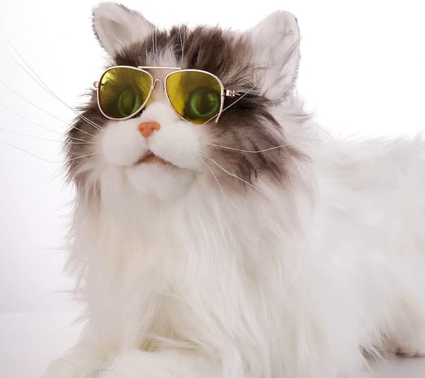 4 Par Katt Solglasögon - Klassiska Retro UV-Skydd Små Hundar Su