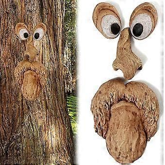 Treansiktsdekorasjon Gammel Mann Treomfavner Bark