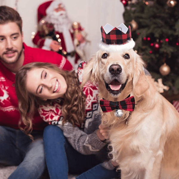 Julehundekostume, til små og mellemstore hunde og katte style 2