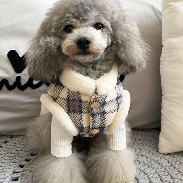 Hund Vinterväst Jackor Hundkappa Hundtröja Skidkostym för Husdjur Ärmlös Vadderad Bomullsväst S