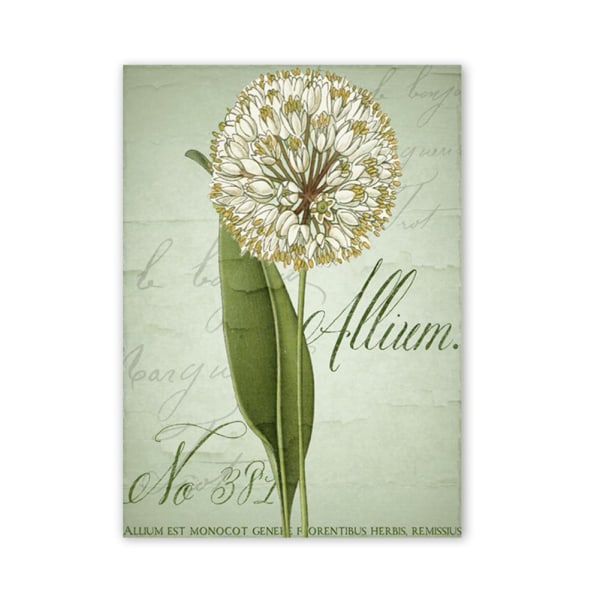 Fistulär lökblomma Canvas väggkonst målning tryckt bild