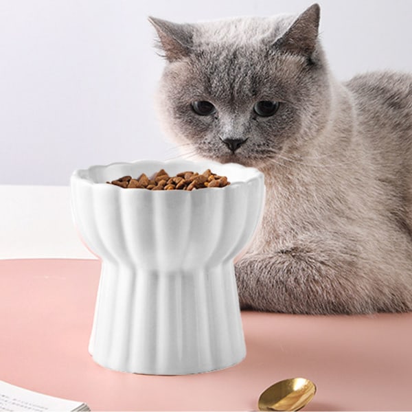 Keramiska upphöjda kattskålar, förhöjda mat- eller vattenskålar white