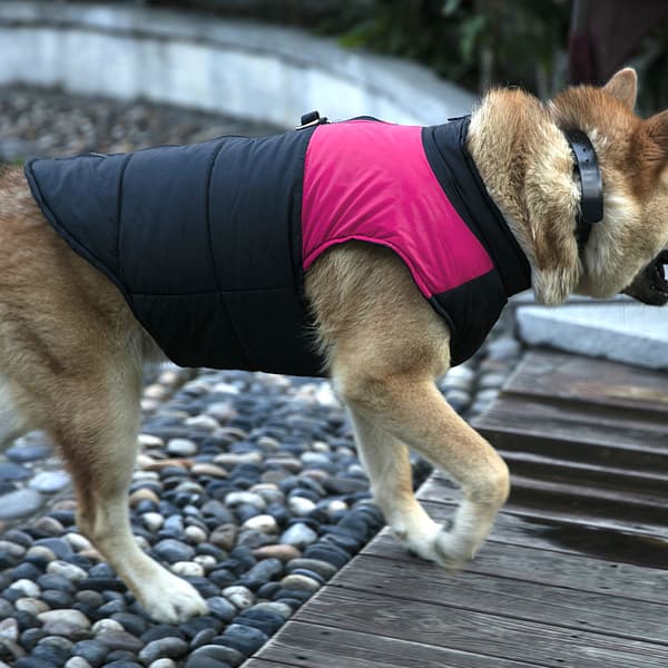 Polyester Rosa Vattentät Vadderad Jacka Väst Kläder Tjock Varm Kappa för Stora Hundar (4XL)