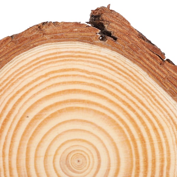 Naturliga träskivor, oavslutade träcirklar rustikt trä med bark solida stockskivor hantverk träkit för DIY hantverk julgransprydnader, förslipade