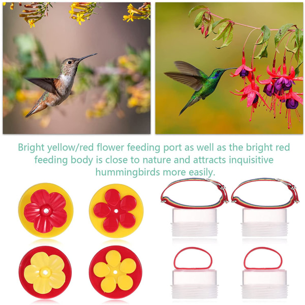 Kolibri Hand Feeder Blomma Handhållen Kolibrimatning