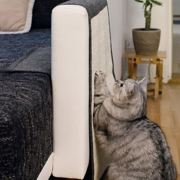 Kradsemåtte til katte, sofakradsebeskyttelse til katte, kradsemåtte til sofa, møbelbeskyttelse, kradsebeskyttelse til polstrede møbler (130X45Cm)