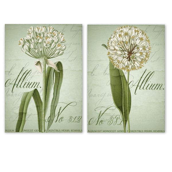 Fistulär lökblomma Canvas väggkonst målning tryckt bild