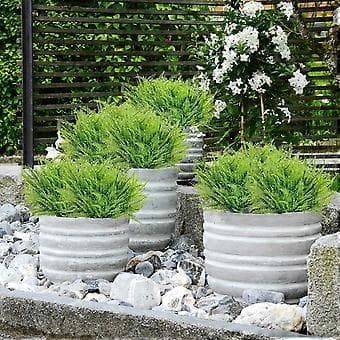 6 stk. kunstig bregneblad bunt Julepynt