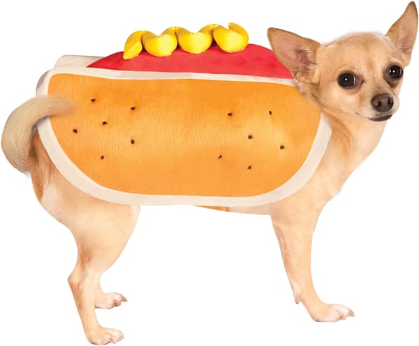 Hunddräkter, Korv-Hunddräkt_max L