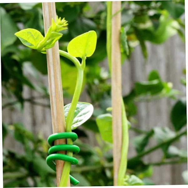 Have Twist Ties Soft Havearbejde Twist Wire Plant Support til klatreplanter Buske 2stk 3,5 mm*8m Twist Ties