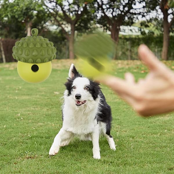 Hunde Slow Feeder Puslespil | Interaktiv Godbiddispenser til Træning & Leg Green