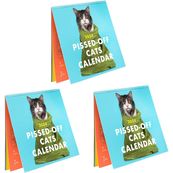 Pissed Off Cat Calendar 2024, Funny Monthly Calendar for Cat Lovers (3 Pcs)