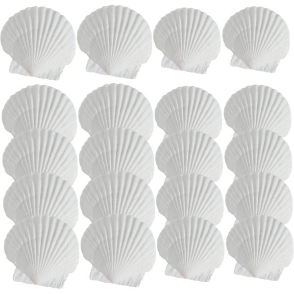 Kammuslinger S, 20 stk. 2,8-3,5 & 4,3-4,7 Naturlige havsskaller, hvide S til at skabe DIY-akvariefyld, bryllupsdekoration, strandhjemmefest boligindretning