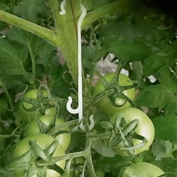 SQBB 100 stycken 16cm trädgårdsväxtfästeklämmor, klätterväxtstödklämmor, tomatklämmor, tomatstöd