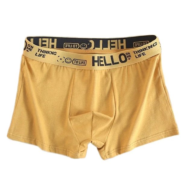 5 st Herrunderkläder Man Boxersexiga kalsonger Bekväma Andas Mode Pojkar Trosor Underkläder Boxershorts Herr 2PCS-Mix-03 Yellow XXXL-75-90kg