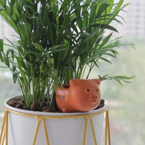 2-pak Terracotta Selvvandede Pigge til Indendørs Planter (Medium - Gris) Medium -pig