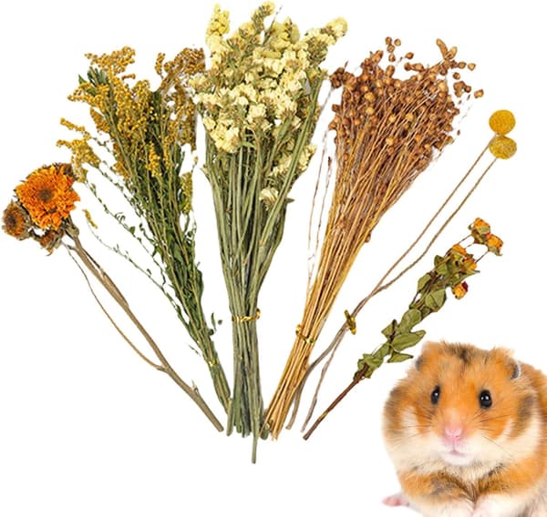 Blomstrete Hamsterbur Tilbehør, Blomster Høy Seng for Løpemus B