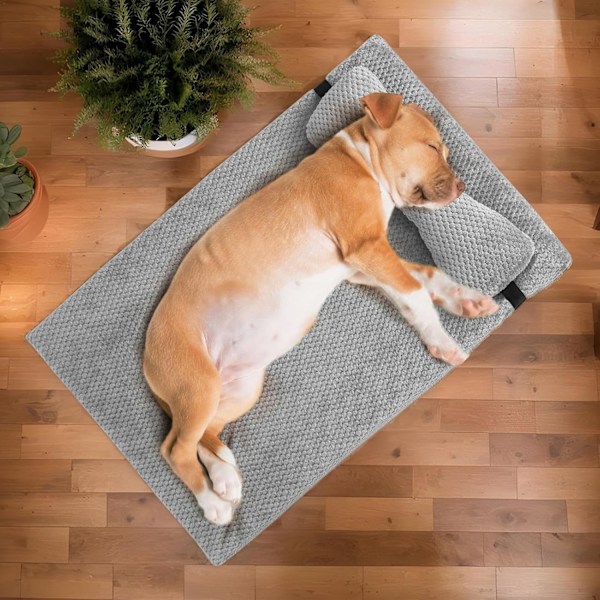 Vaskbar Hundesofa, Behagelig Ortopædisk Seng til Små til Mellemstore Hunde Light grey L 40 x D 8 x H 8 cm