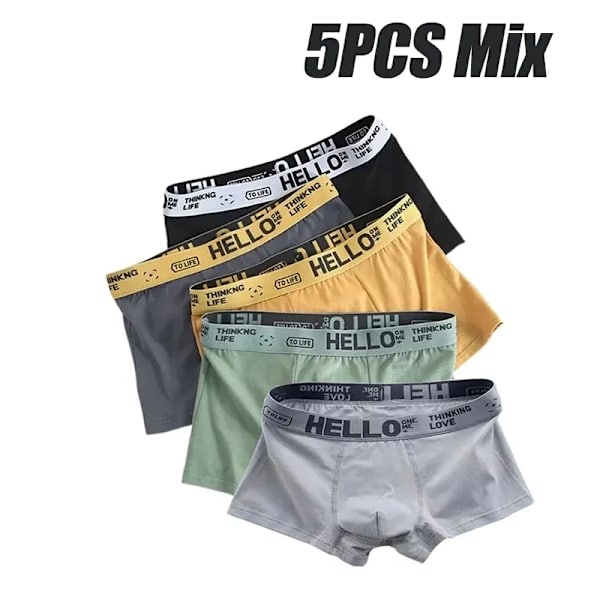 5 st Herrunderkläder Man Boxersexiga kalsonger Bekväma Andas Mode Pojkar Trosor Underkläder Boxershorts Herr 2PCS-Mix-03 5PCS-Mix XXXL-75-90kg