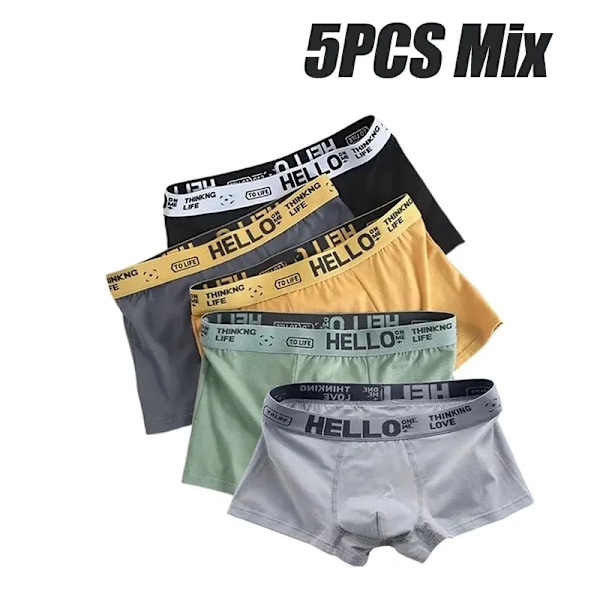 5 st Herrunderkläder Man Boxersexiga kalsonger Bekväma Andas Mode Pojkar Trosor Underkläder Boxershorts Herr 5PCS-Mix 4XL-90-100kg