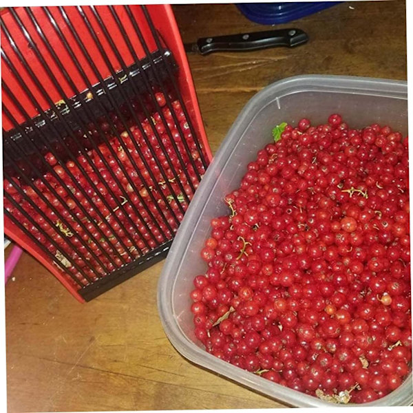 Bärplockare Blåbärsplockningsverktyg Fruktskördeverktyg med metallkam för Huckleberries -verktygssatser
