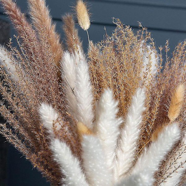 50 st | Torkat pampasgräs 18 tum, kompatibla blomsterarrangemang Boho bröllopsheminredning