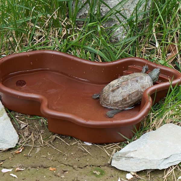 Liskojen vesikulho, terraariokulho kaltevalla ruokinta-alustalla With drainage