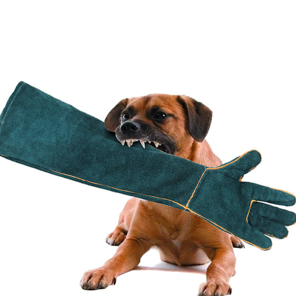 Djurhanteringshandskar Bitsäkra, 62 cm slitstarka bettsäkra handskar för bad, pälsvård, svetsning, hantering av hund/katt/fågel/orm/papegoja/ödla/reptil