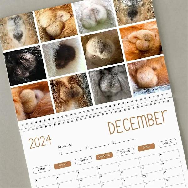 Morsom kalender - Morsom gave - Katter Stjärt Kalender 2024 - Fancy gaver - -pop - Testikler -