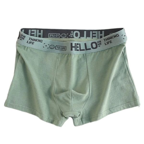 5 st Herrunderkläder Man Boxersexiga kalsonger Bekväma Andas Mode Pojkar Trosor Underkläder Boxershorts Herr Yellow Green XXL-65-75kg