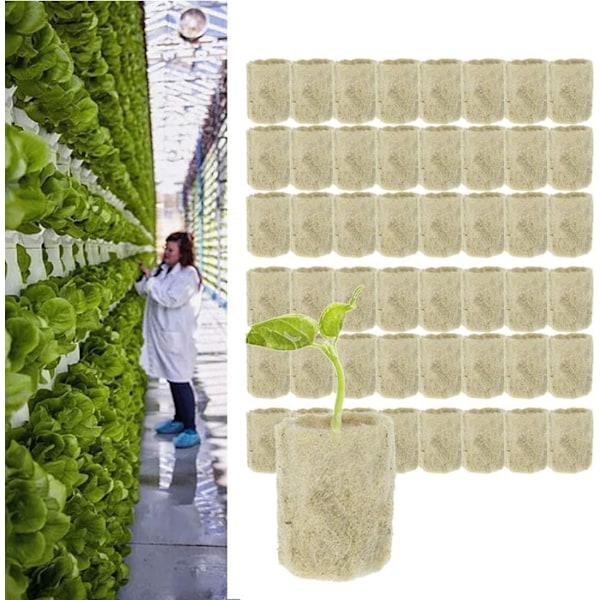 Rockwool-kub, Rock Wool-förökning Sub-Free-förökning, Jordbruk, Jordlös odling, Hydroponisk odling, 50 st utomhusliv