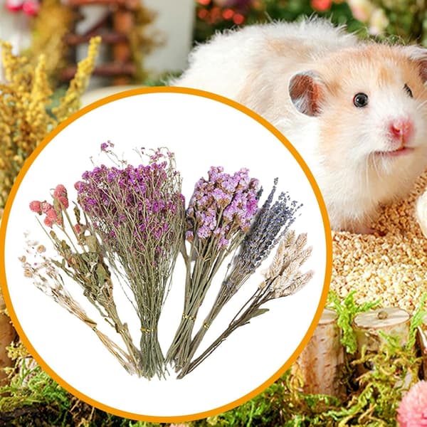 Blomstret Hamsterbur Tilbehør, Blomster Hø Seng til Væddeløbsmus C