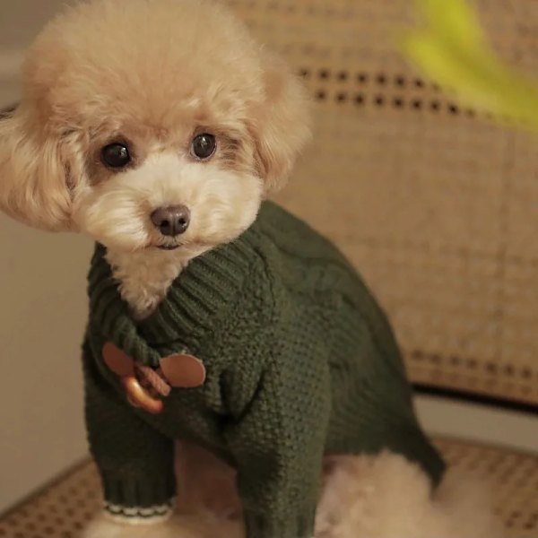 Husdyrsbeklædning Efterår Vinter Medium Lille Hund Strik Ulltrøje Varm Frakke Kattunge Hvalp Mode Kofte Chihuahua Yorkshire Mops Grøn L 3.5-5KG