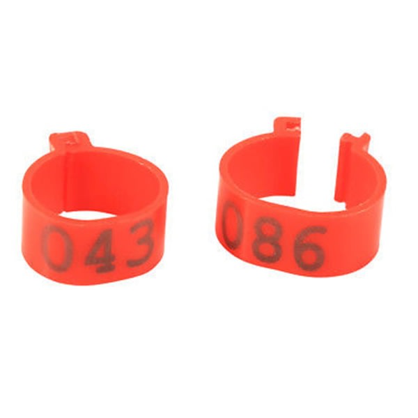 100X 16 mm Clip On Ben Band Ringar för kycklingar Ankor Höns Poultr Red SQBB