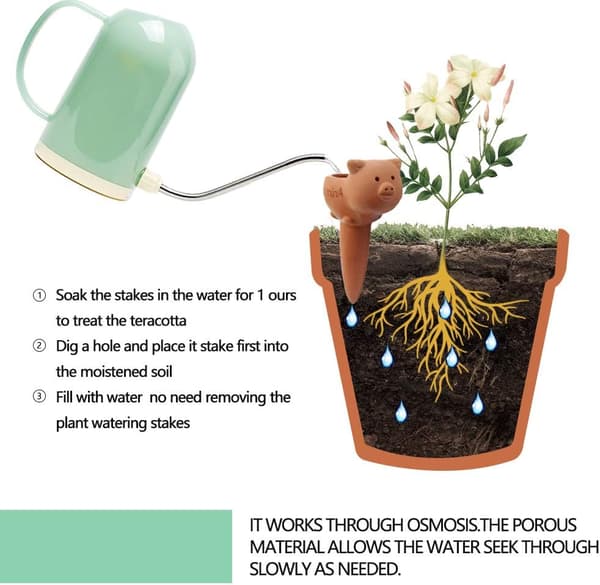 2-pak Terracotta Selvvandede Pigge til Indendørs Planter (Medium - Gris) Medium -pig