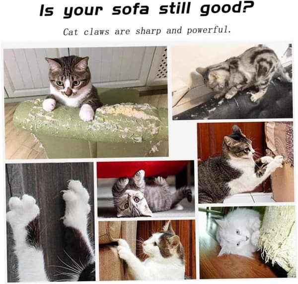 Kattklösbräda Repstol Slipning Klomatta Möbler Soffa Skyddssköld Pad (Spikmodell)