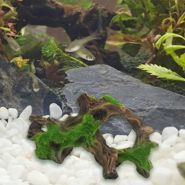Akvarium Flydende træ akvariegrotte Fisk Fighting stockar og Mo