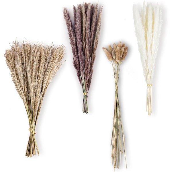Tørket pampasgress, 80 stk tørket blomsterbukett, fluffy naturlig pampasgressdekorasjon perfekt for boho-bryllupsdekorasjon i soverom og vase V7-231016LWH80-FBA